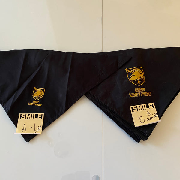 Close out Dog Bandana